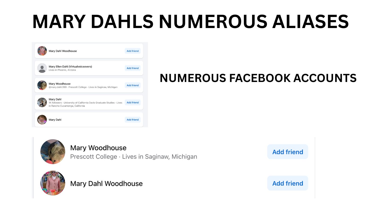 Fake FB 2