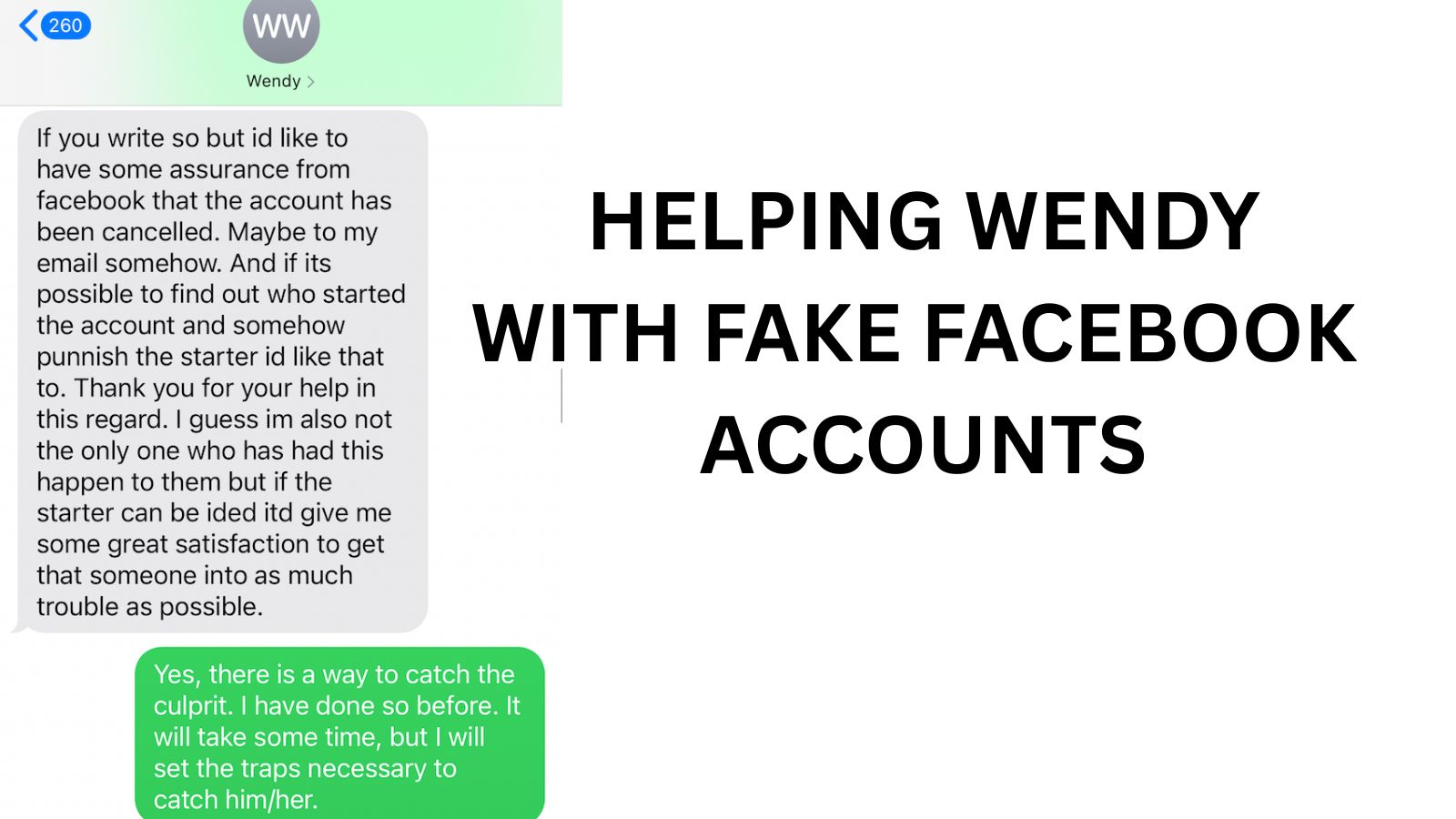 Fake FB 3